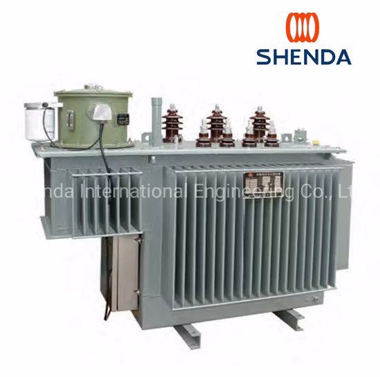 10 Kv Level Full Sealed Distribution Transformer